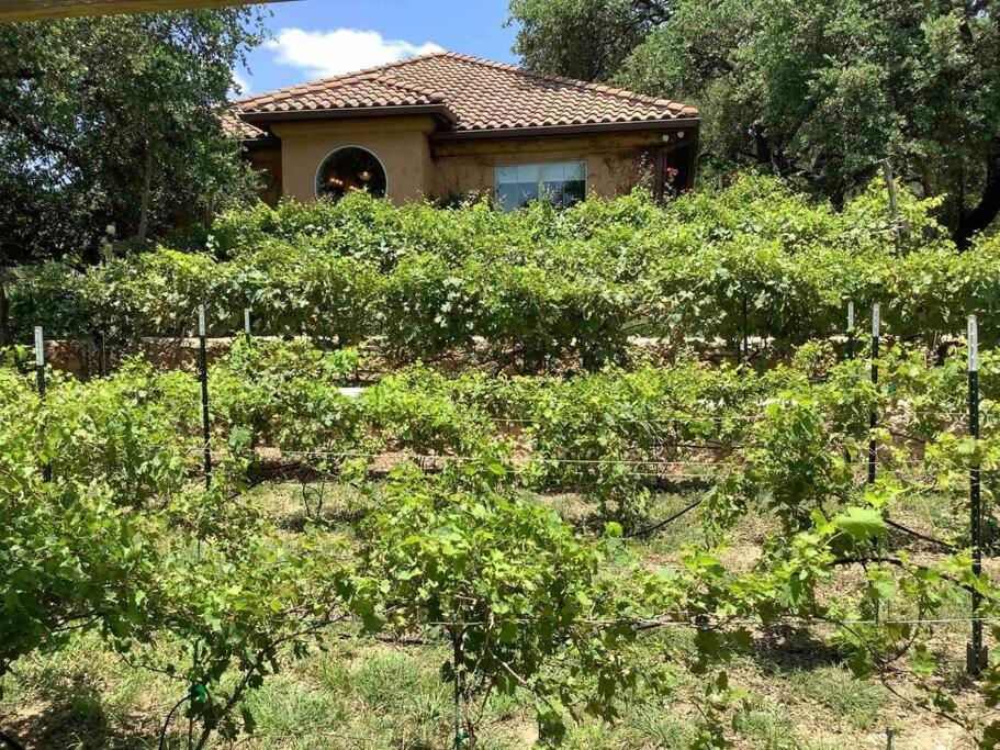 Villa At Cibolo Chase, A Private Resort With Pool Bulverde Exterior foto
